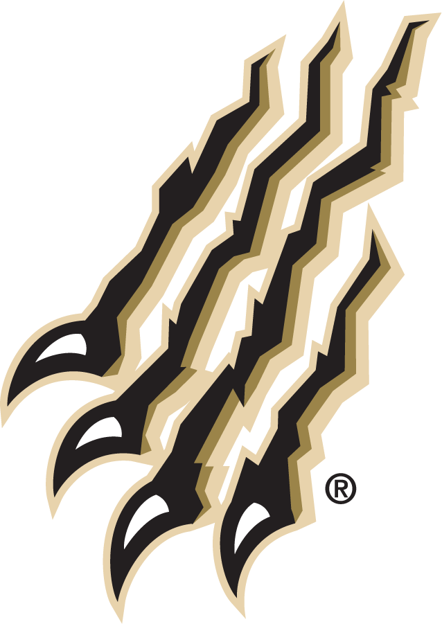 Oakland Golden Grizzlies 1998-2013 Secondary Logo v4 DIY iron on transfer (heat transfer)